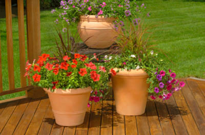 Decking & Fencing - Heathwood Landscape Gardeners