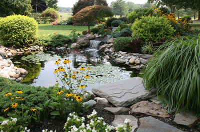 Ponds & Water Features - Heathwood Landscape Gardeners Ponds & Water Features - Heathwood Landscape Gardeners