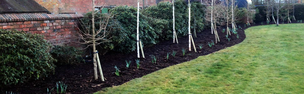 Planting Schemes