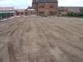 Cultivating Large Garden