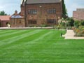 Freshly turfed area and garden lighting