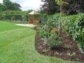 New garden border with plants